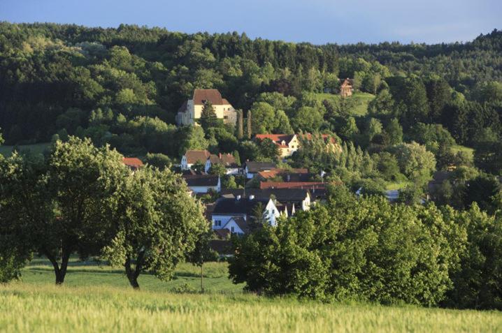 Schlosshotel Obermayerhofen Sebersdorf Extérieur photo