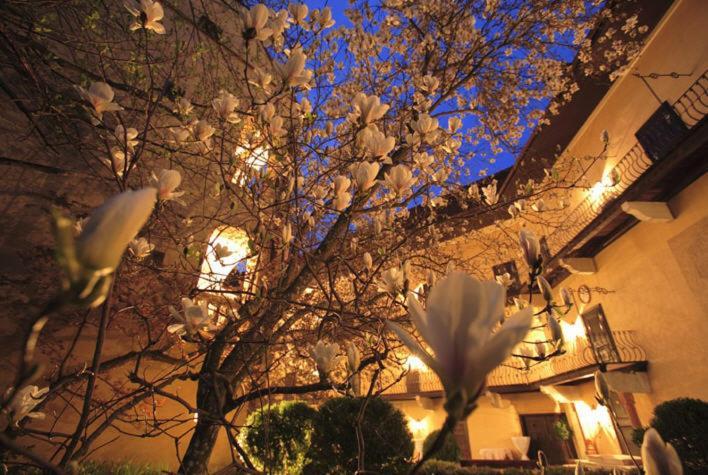 Schlosshotel Obermayerhofen Sebersdorf Extérieur photo